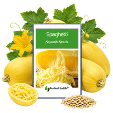 Load image into Gallery viewer, Spaghetti Squash Seeds for Planting NON-GMO Fresh Garden Seeds