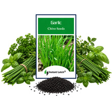 Load image into Gallery viewer, Garlic Chives Seeds | NON-GMO | Instant Latch Fresh Garden Seeds