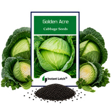 Load image into Gallery viewer, Golden Acre Cabbage Seeds | NON-GMO | Instant Latch Fresh Garden Seeds