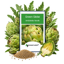 Load image into Gallery viewer, Green Globe Artichoke Seeds for Planting NON-GMO Fresh Garden Seeds
