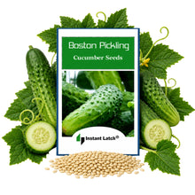 Load image into Gallery viewer, Boston Pickling Cucumber Seeds | NON-GMO | Fresh Garden Seeds