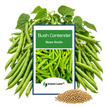 Load image into Gallery viewer, Contender Bush Bean Seeds for Planting NON-GMO Fresh Garden Seeds