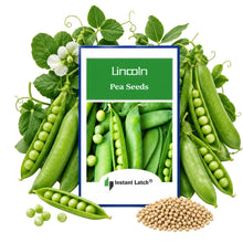 Load image into Gallery viewer, Lincoln Pea Seeds for Planting NON-GMO Fresh Garden Seeds