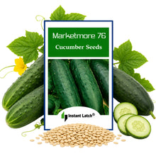 Load image into Gallery viewer, Marketmore 76 Cucumber Seeds | NON-GMO | Fresh Garden Seeds