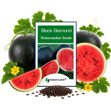 Load image into Gallery viewer, Black Diamond Watermelon Seeds | NON-GMO | Heirloom | Fresh Garden Seeds