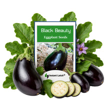 Load image into Gallery viewer, Black Beauty Eggplant Seeds for Planting NON-GMO Fresh Garden Seeds
