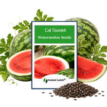 Load image into Gallery viewer, Cal Sweet Watermelon Seeds for Planting NON-GMO Heirloom Fresh Garden Seeds