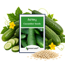 Load image into Gallery viewer, Ashley Cucumber Seeds for Planting NON-GMO Heirloom Fresh Garden Seeds
