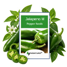 Load image into Gallery viewer, Jalapeno M Pepper Seeds for Planting NON-GMO Instant Latch Fresh Garden Seeds