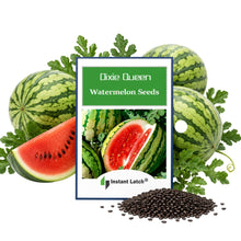 Load image into Gallery viewer, Dixie Queen Watermelon Seeds for Planting NON-GMO Heirloom Fresh Garden Seeds