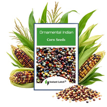 Load image into Gallery viewer, Ornamental Indian Corn Seeds for Planting Heirloom Fresh Garden Seeds