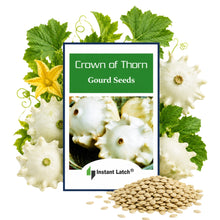 Load image into Gallery viewer, Crown of Thorns Gourds Seeds for Planting NON-GMO Heirloom Fresh Garden Seeds