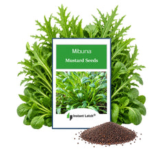 Load image into Gallery viewer, Mibuna Mustard Seeds for Planting NON-GMO Heirloom Fresh Garden Seeds
