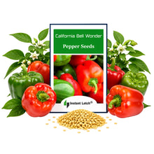 Load image into Gallery viewer, California Wonder Bell Pepper Seeds | NON-GMO | Instant Latch Fresh Garden Seeds