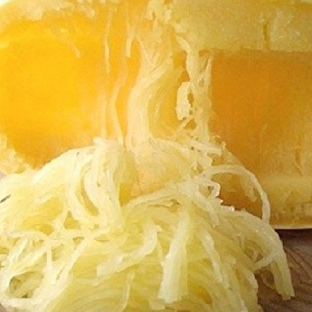Spaghetti Squash Seeds | NON-GMO | Instant Latch Fresh Garden Seeds