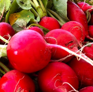Crimson Giant Radish Seeds | NON-GMO | Heirloom | Fresh Garden Seeds