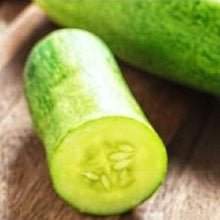 Load image into Gallery viewer, Straight Eight Cucumber Seeds | NON-GMO | Instant Latch Fresh Garden Seeds