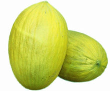 Load image into Gallery viewer, Amarillo Oro Melon Seeds | NON-GMO | Heirloom | Fresh Garden Seeds