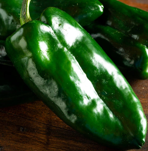 Ancho Poblano Grande Pepper Seeds | NON-GMO | Fresh Garden Seeds