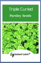 Load image into Gallery viewer, Triple Curled Parsley | NON-GMO | Instant Latch Fresh Garden Seeds