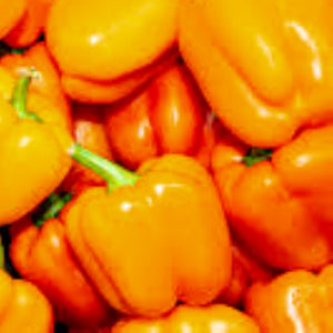 Coral Bell Sweet Pepper Seeds | NON-GMO | Heirloom | Fresh Garden Seeds