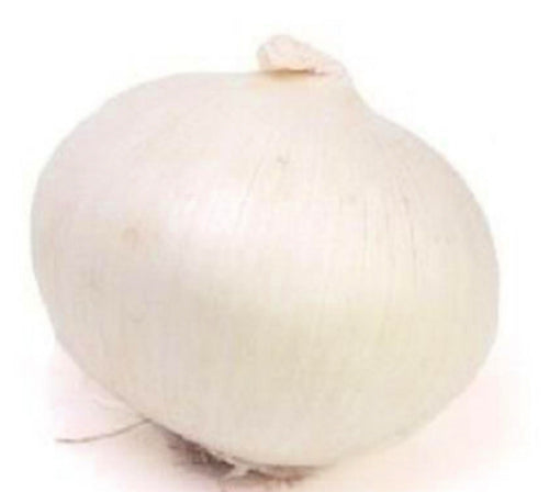 Eclipse L303 Onion Seeds | NON-GMO | Heirloom | Fresh Garden Seeds