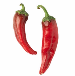 NuMex Joe E Parker Hot Pepper Seeds | NON-GMO | Heirloom | Fresh Garden Seeds